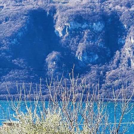 Apartment L'Ulivo Lake View Private Road 5 Kilometers From Varenna Lierna Exterior foto