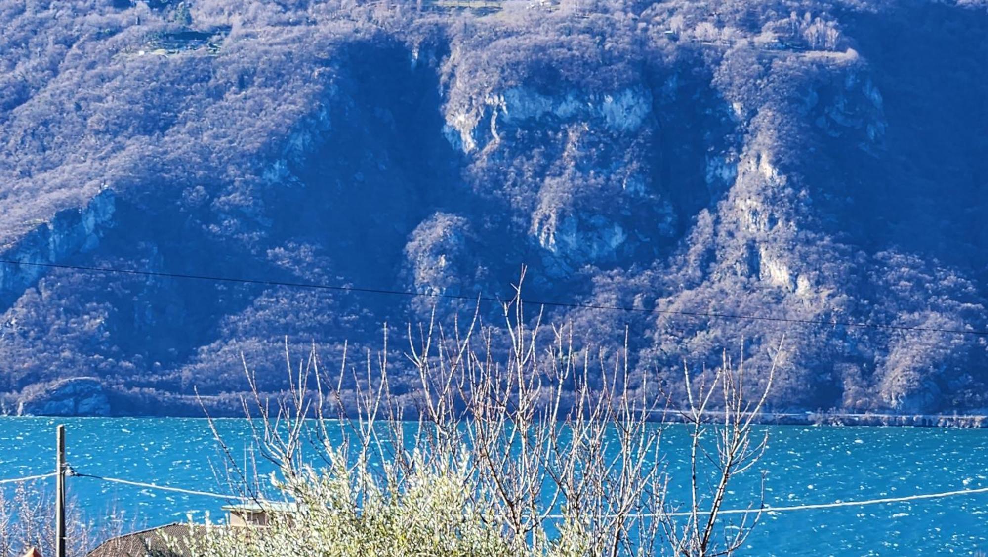 Apartment L'Ulivo Lake View Private Road 5 Kilometers From Varenna Lierna Exterior foto